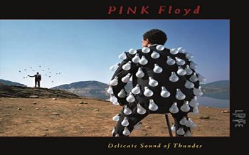A Delicate Sound Of Thunder – 1988